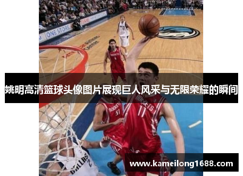 姚明高清篮球头像图片展现巨人风采与无限荣耀的瞬间