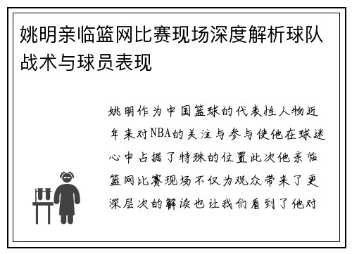 姚明亲临篮网比赛现场深度解析球队战术与球员表现